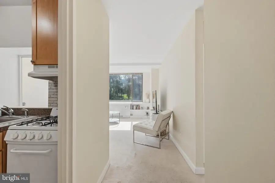 1111 Arlington Blvd #316, Arlington, VA 22209 - #2