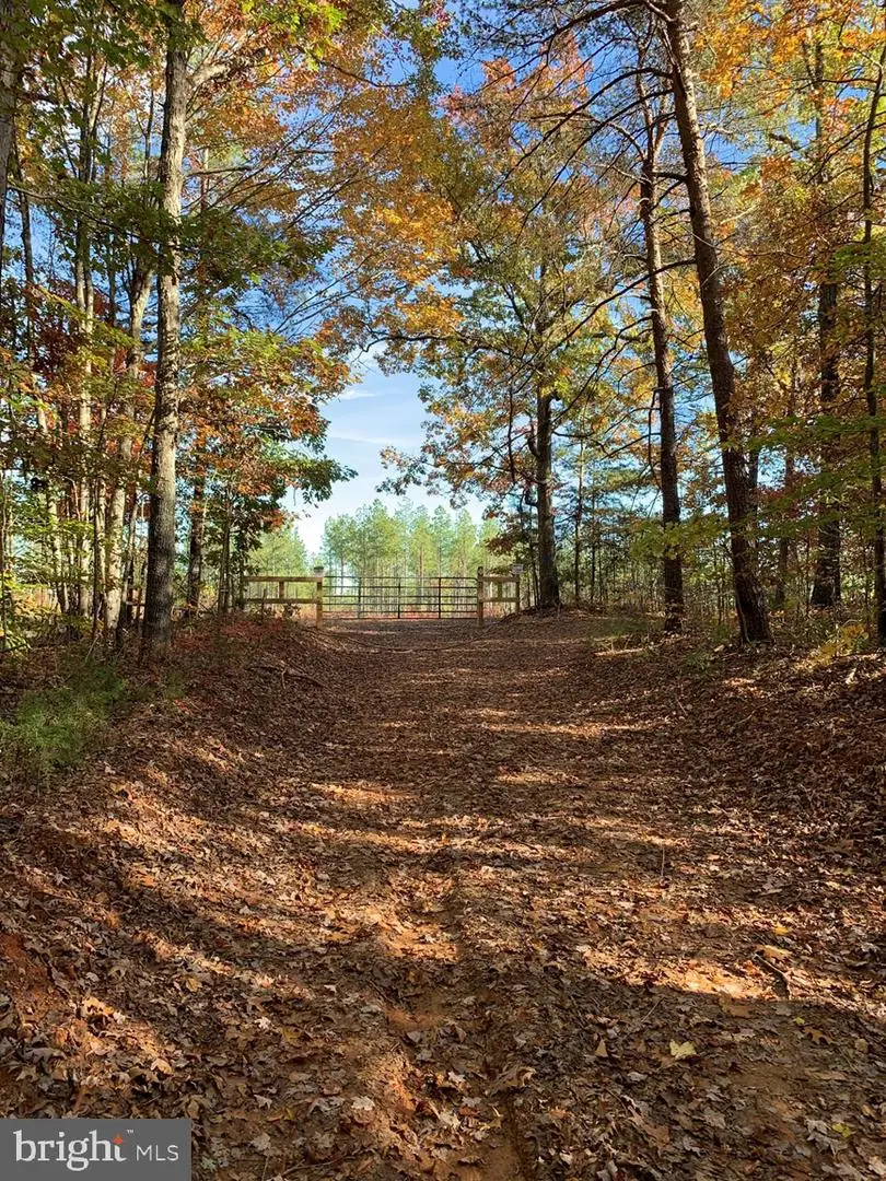 Wildway & Watt Abbitt Rd (tract: Burruss & Carter), Appomattox, VA 24522 - Image #1