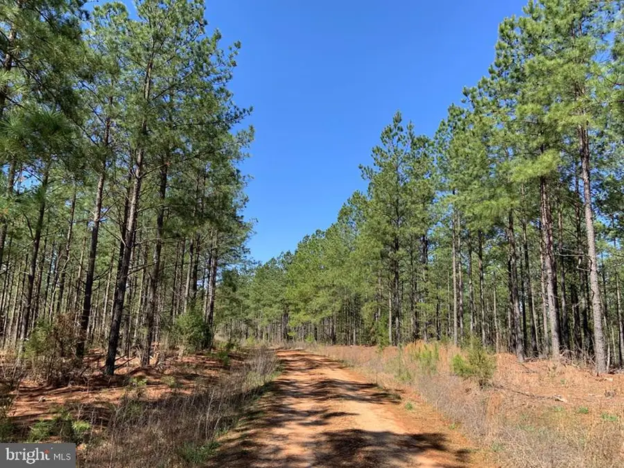 Wildway & Watt Abbitt Rd (tract: Burruss & Carter), Appomattox, VA 24522 - Image #2