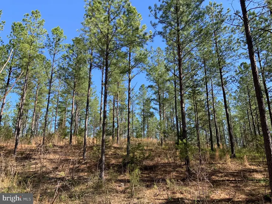 Wildway & Watt Abbitt Rd (tract: Burruss & Carter), Appomattox, VA 24522 - Image #3