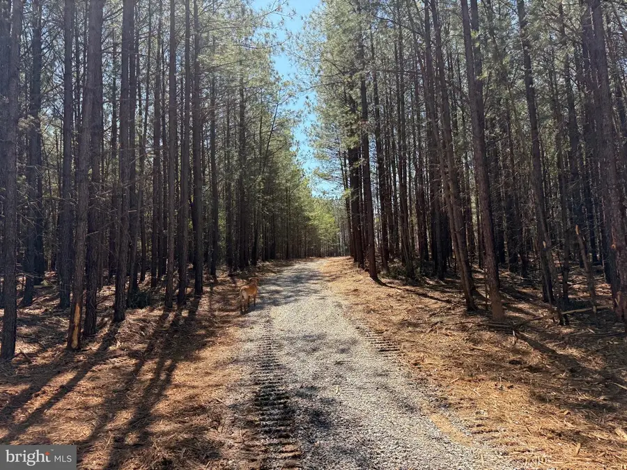 Lot B Mountain Cut Rd, Appomattox, VA 24522 - #2