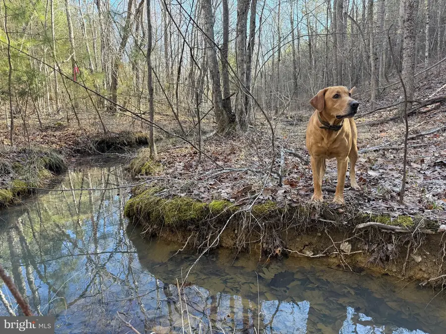 Lot B Mountain Cut Rd, Appomattox, VA 24522 - #3