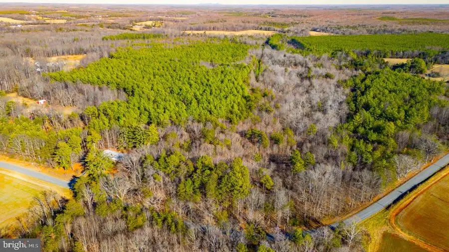 Redfields Rd, Appomattox, VA 24522 - #2