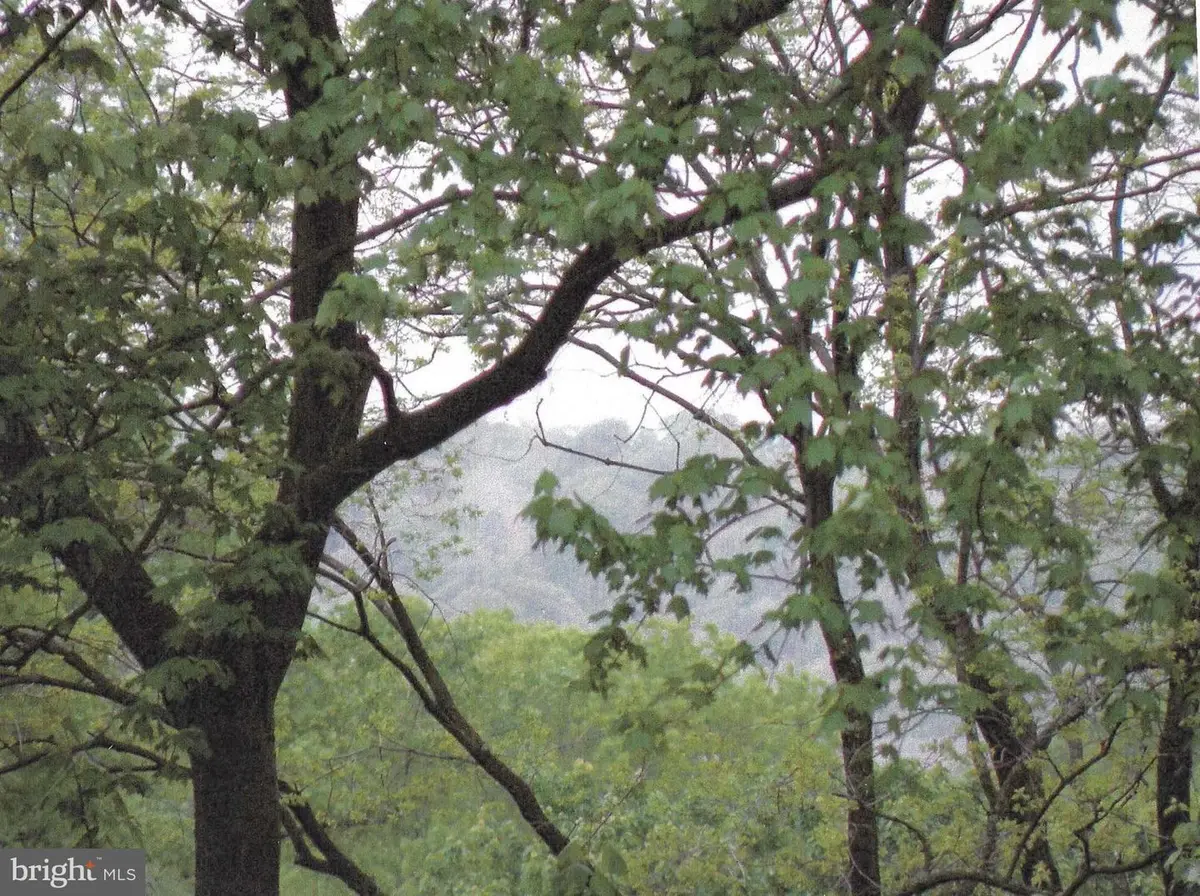 1101 Finley Ln, Alexandria, VA 22304 - Image #1