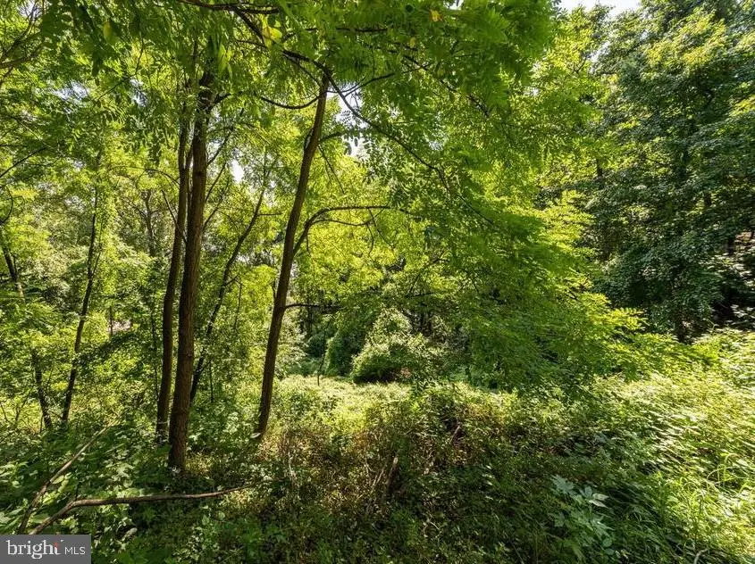 1101 Finley Ln, Alexandria, VA 22304 - Image #2