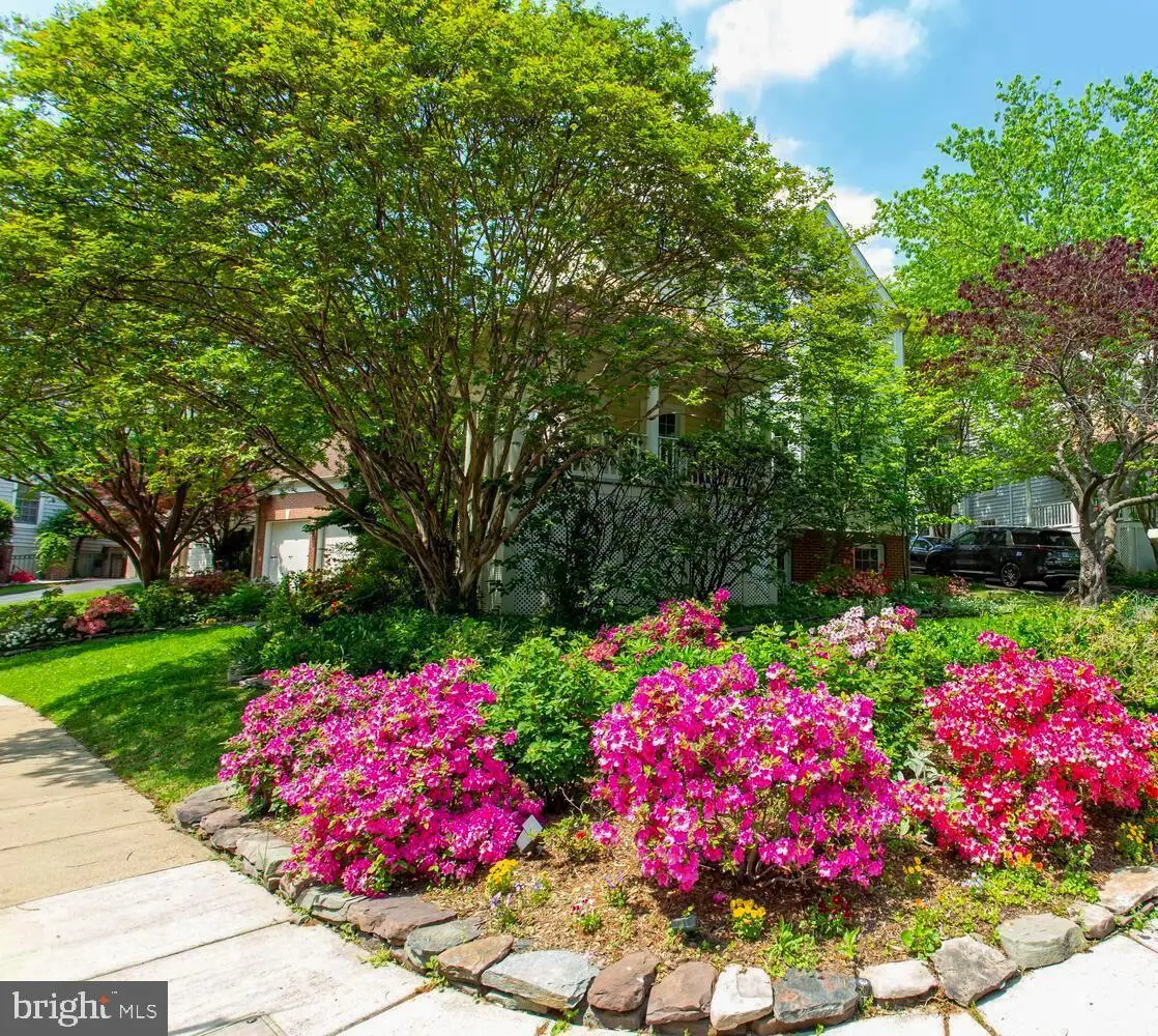 1201 Dartmouth Rd, Alexandria, VA 22314 - #1