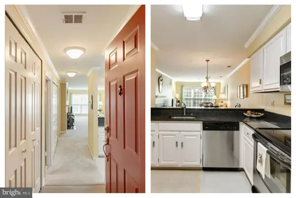 244 S Reynolds St #403, ALEXANDRIA, VA 22304