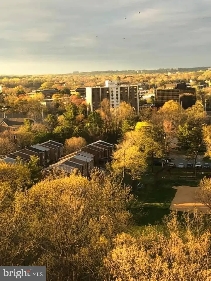 205 Yoakum Pkwy #1724, Alexandria, VA 22304 - Image #2