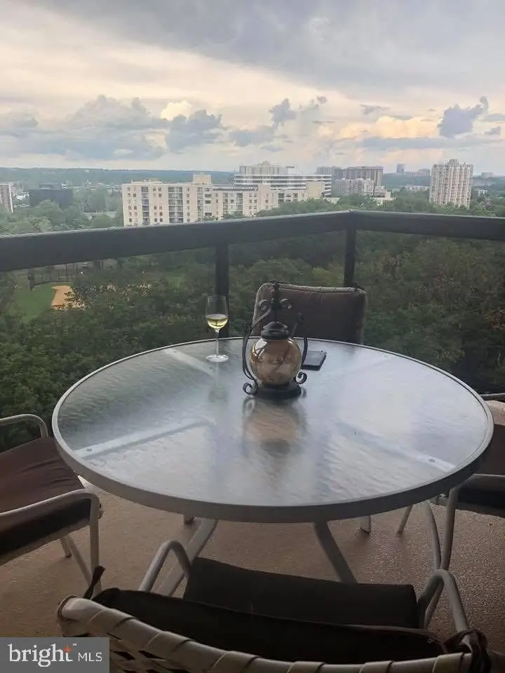 205 Yoakum Pkwy #1724, Alexandria, VA 22304 - Image #3