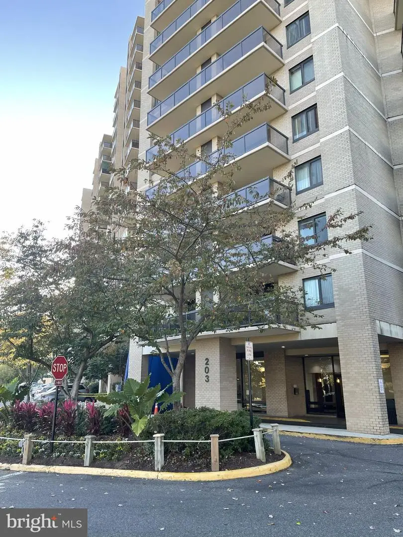 203 Yoakum Pkwy #1807, Alexandria, VA 22304 - Image #3