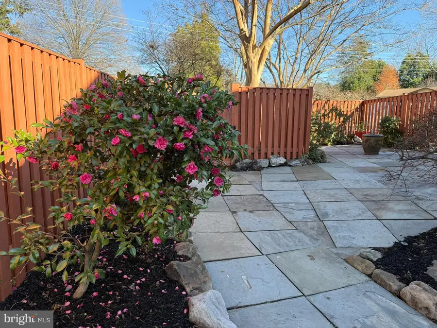 5004 Regency Pl, Alexandria, VA 22304 - Image #3