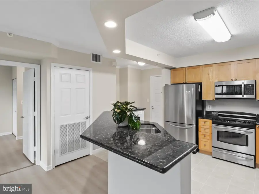 3101 N Hampton Dr #1005, Alexandria, VA 22302 - Image #2