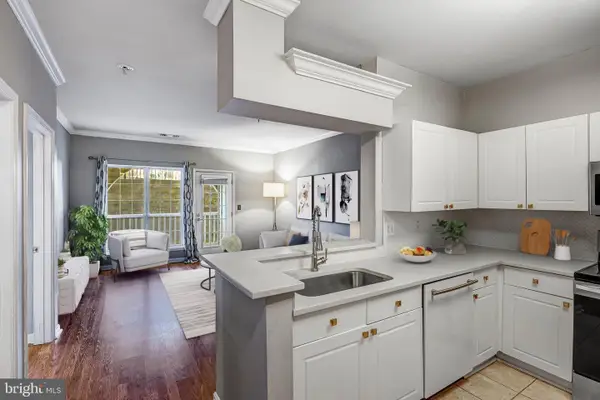 4560 Strutfield Ln #1110, ALEXANDRIA, VA 22311