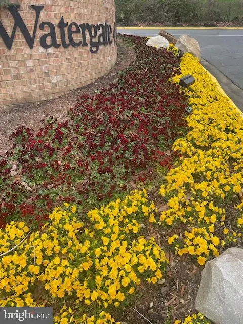 309 Yoakum Pkwy #314, Alexandria, VA 22304 - Image #2