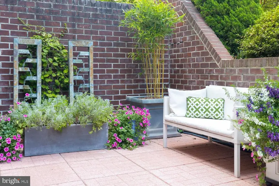 115 N Lee St #bh207, Alexandria, VA 22314 - Image #2