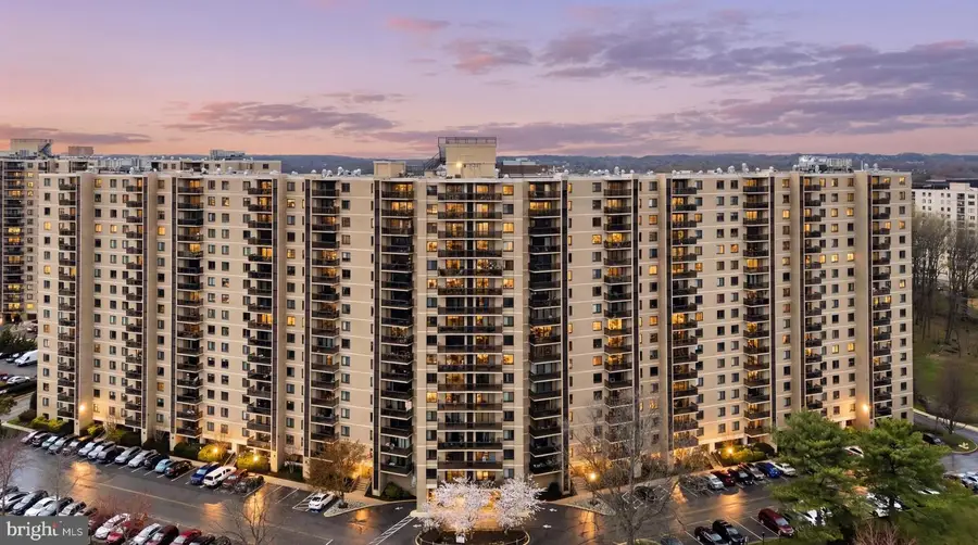 203 Yoakum Pkwy #410, Alexandria, VA 22304 - #2