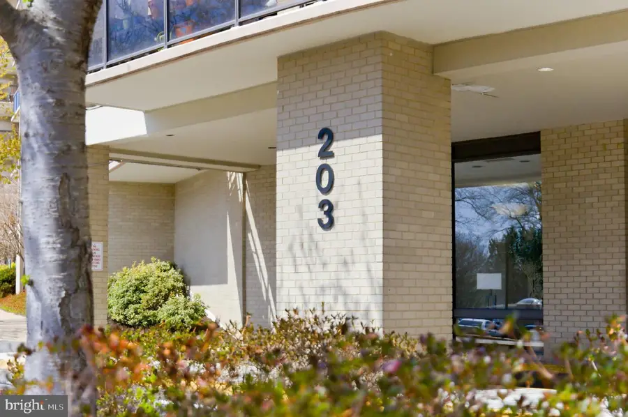 203 Yoakum Pkwy #906, Alexandria, VA 22304 - #2