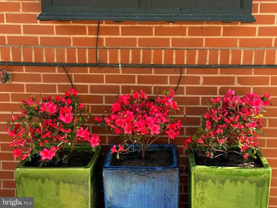 714 Wythe St, Alexandria, VA 22314 - #2