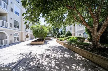 4550 Strutfield Ln, Alexandria, VA 22311 - #1