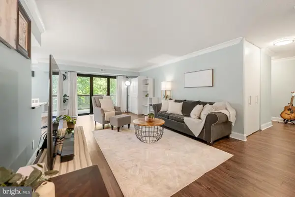 203 Yoakum Pkwy #609, ALEXANDRIA, VA 22304