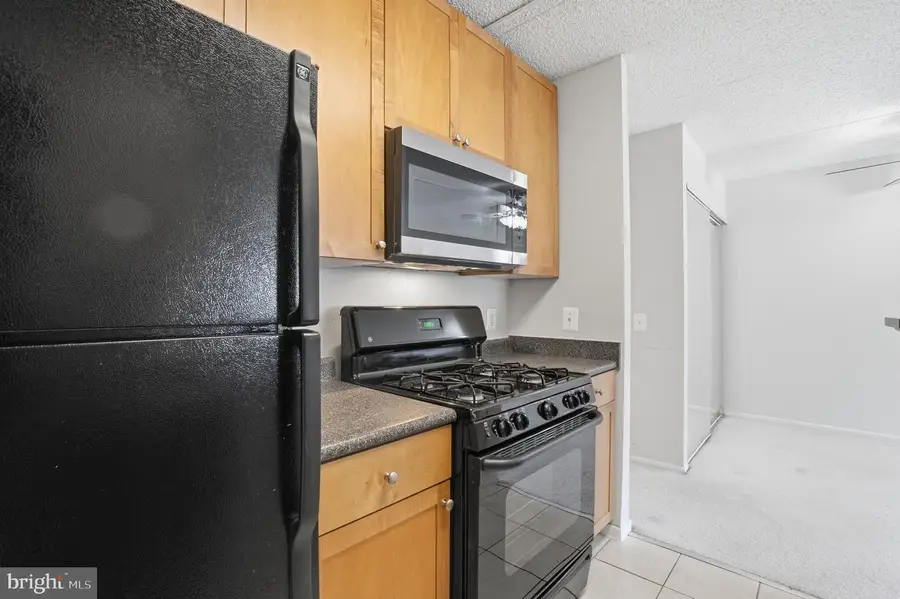 60 S Van Dorn St #415, Alexandria, VA 22304 - #3