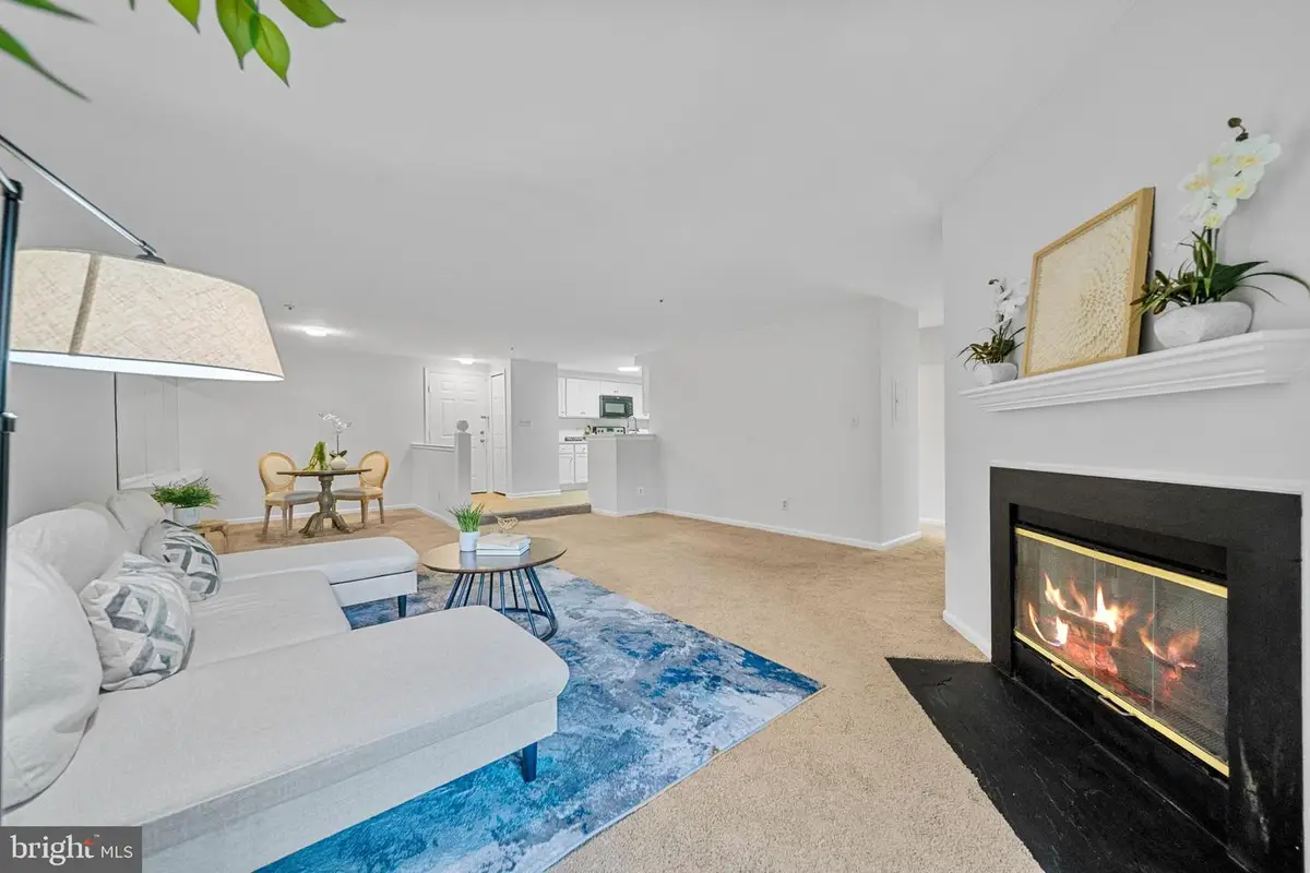 244 S Reynolds St #302, Alexandria, VA 22304 - #1
