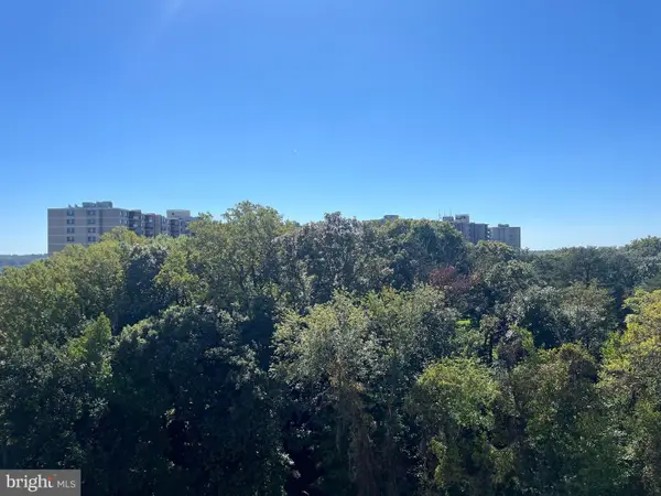 6300 Stevenson Ave #1009, ALEXANDRIA, VA 22304