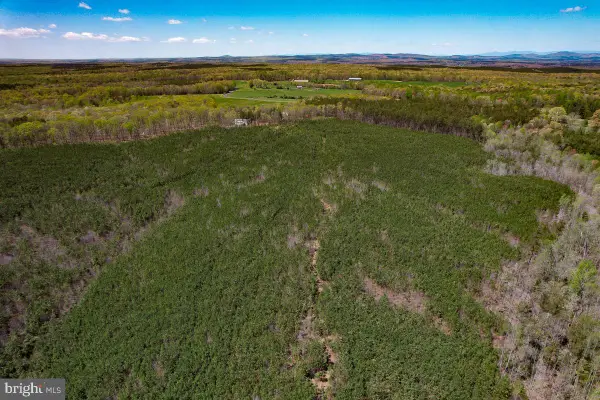 0 Gilliam Mill Rd, DILLWYN, VA 23936