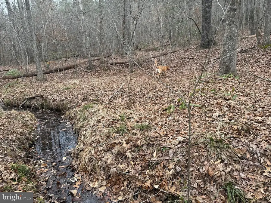 Lot 2 Hardware Rd, Arvonia, VA 23004 - Image #3