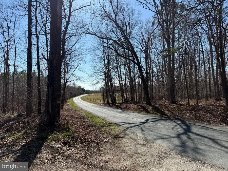 3b Maple Bridge Rd, Dillwyn, VA 23936 - #2