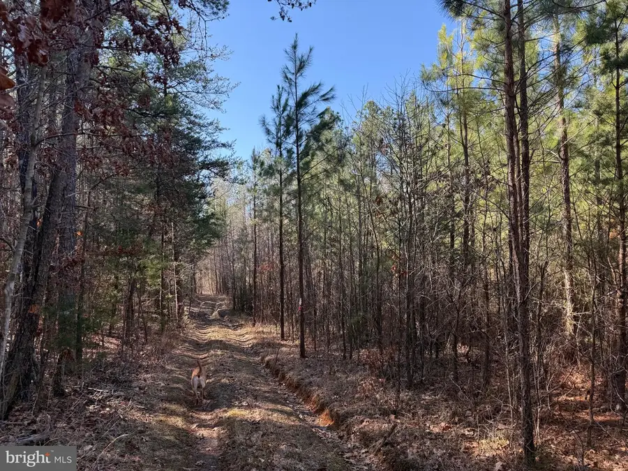 1 Maple Bridge Rd, Dillwyn, VA 23936 - #2