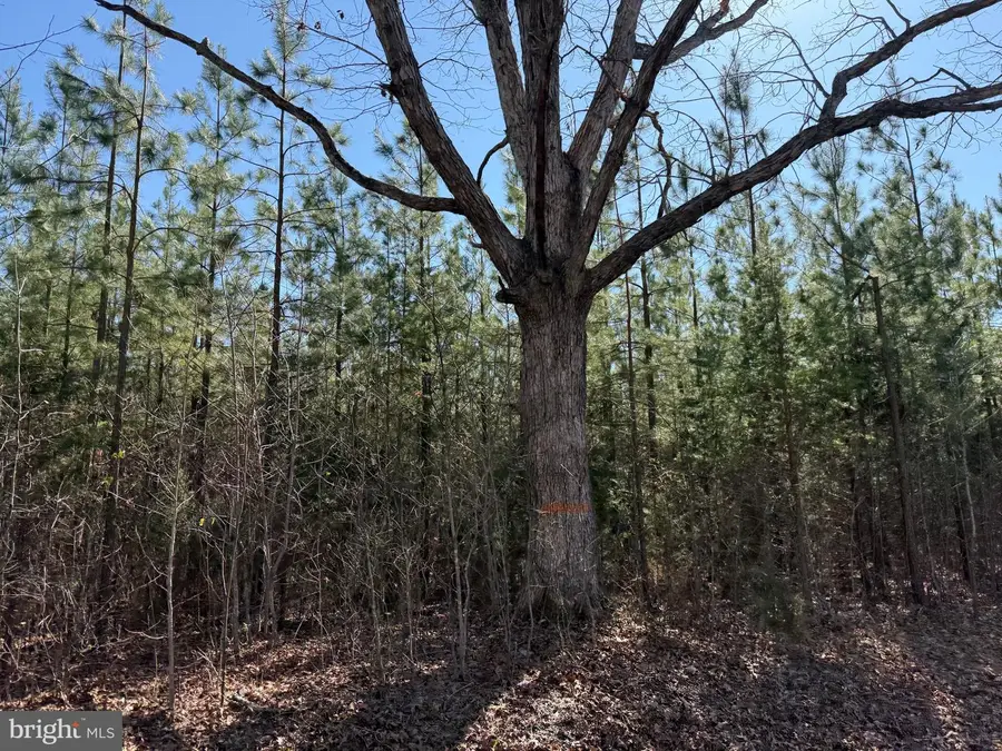 2b Sanders Creek Rd, Dillwyn, VA 23936 - #2