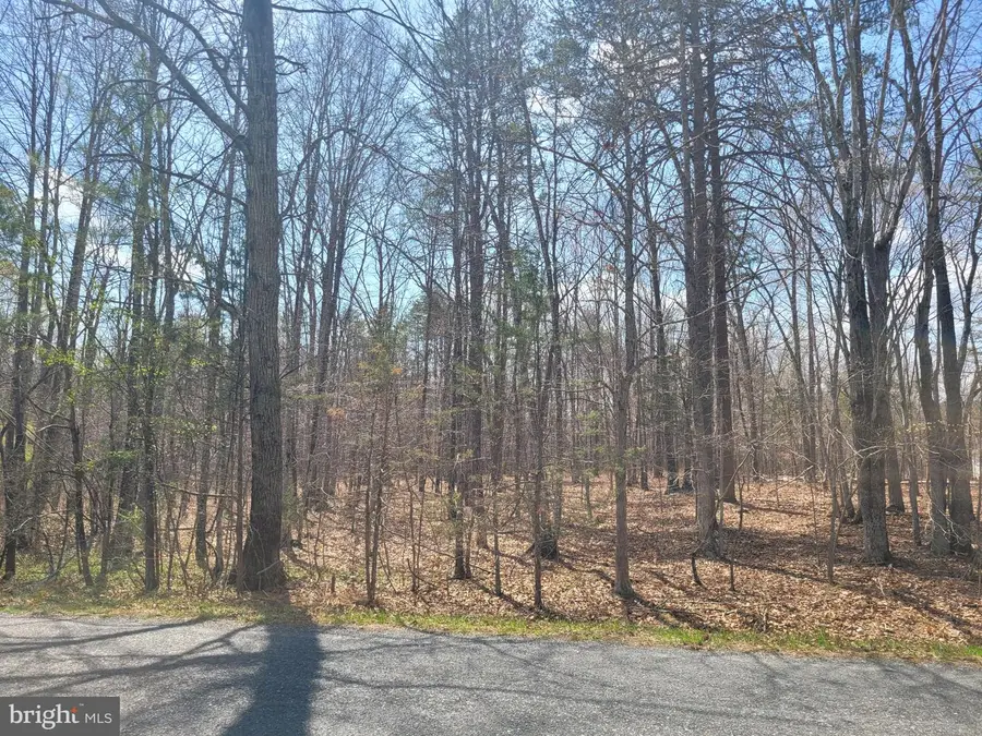 Texas School Rd, Buckingham, VA 23921 - #3