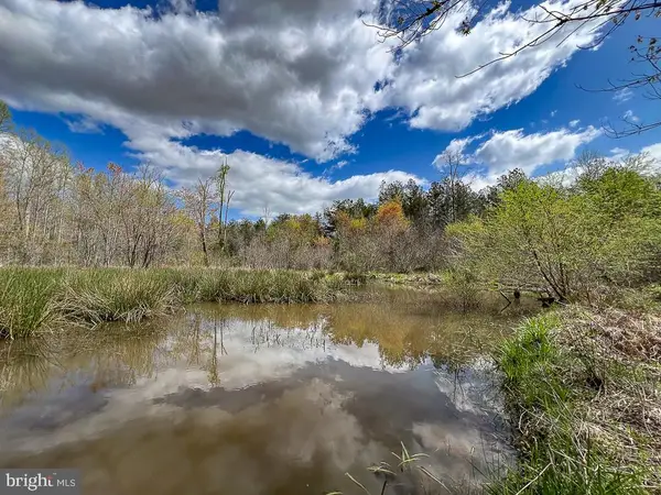 116.32 Acres Gilliam Mill Rd, DILLWYN, VA 23936