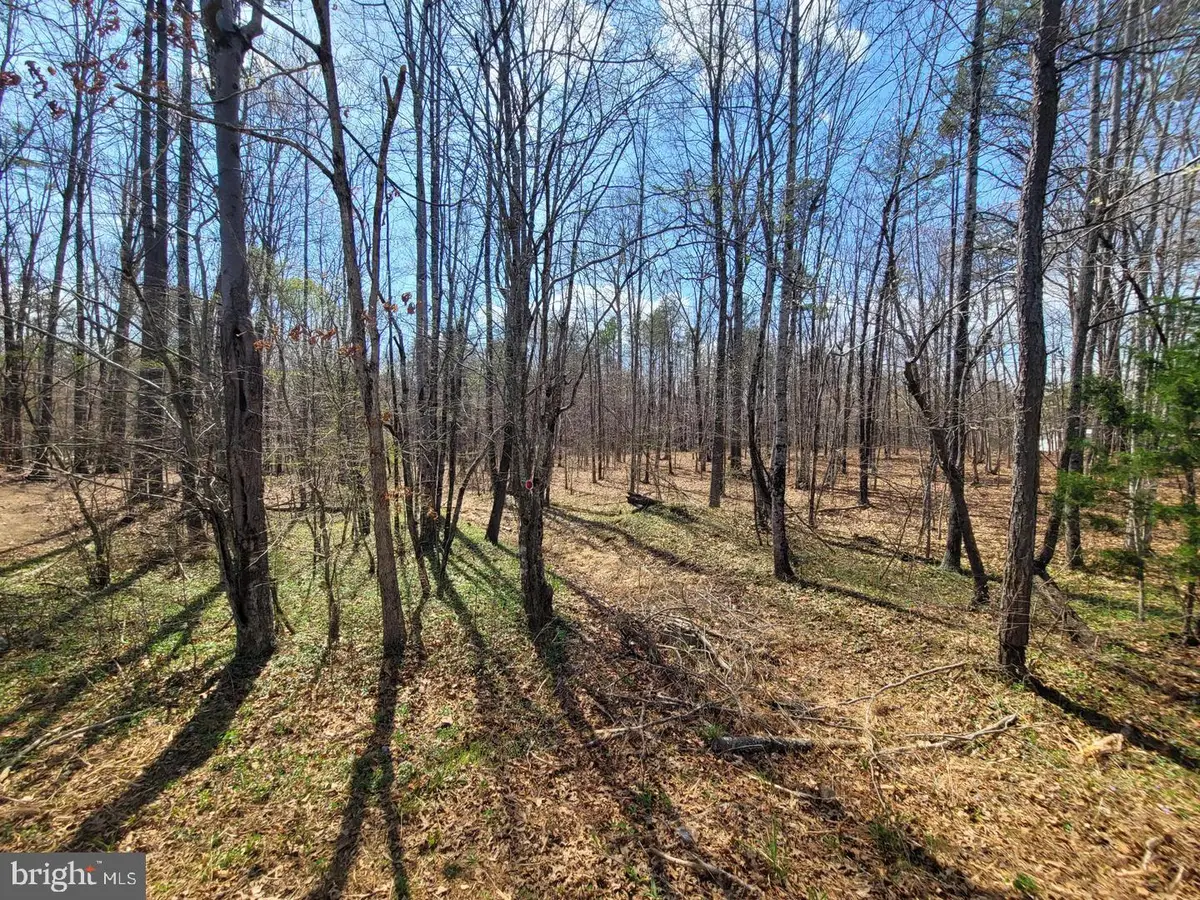 Texas School Rd, Buckingham, VA 23921 - #1