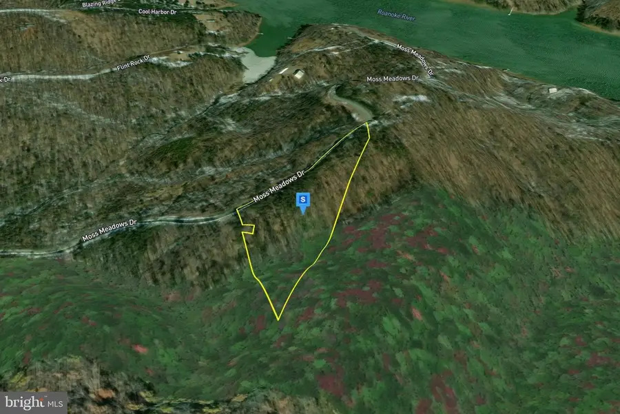 1991 Moss Meadows Dr, Huddleston, VA 24104 - #2