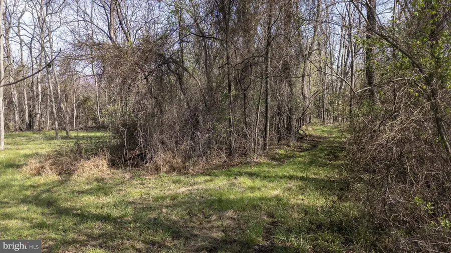 Goggin Ford Rd, Bedford, VA 24523 - #3