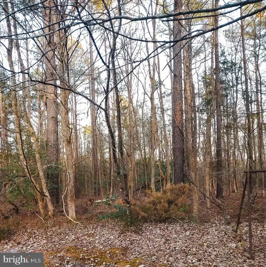 3796 Cut Bank Rd, Warfield, VA 23889 - Image #3