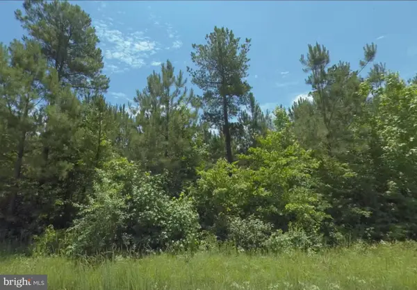 Lot 6 Dillard Rd, LAWRENCEVILLE, VA 23868