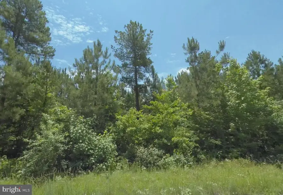 Lot 6 Dillard Rd, Lawrenceville, VA 23868 - #2