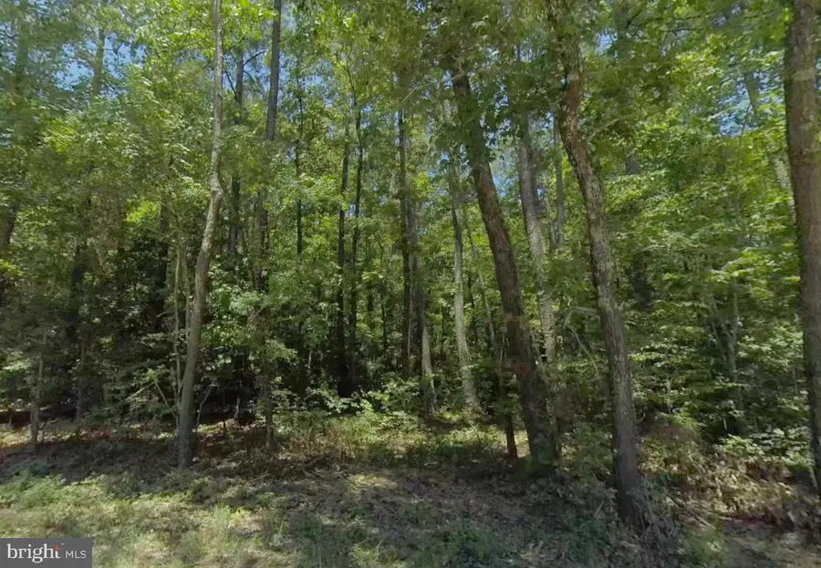 Lot 6 Dillard Rd, Lawrenceville, VA 23868 - #3