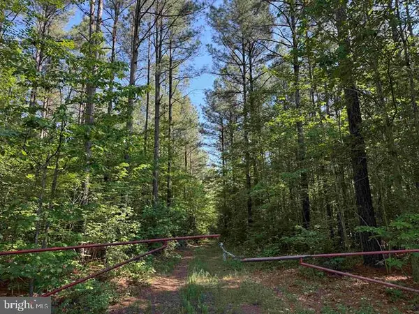 Brandy Creek Road (tract: The Family Tree), LAWRENCEVILLE, VA 23868