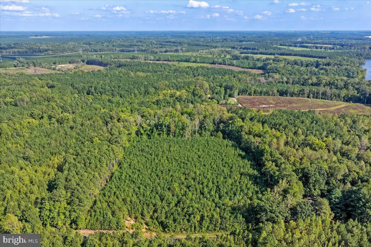 Lot 7 & 8 County Pond Rd, Freeman, VA 23856 - #1