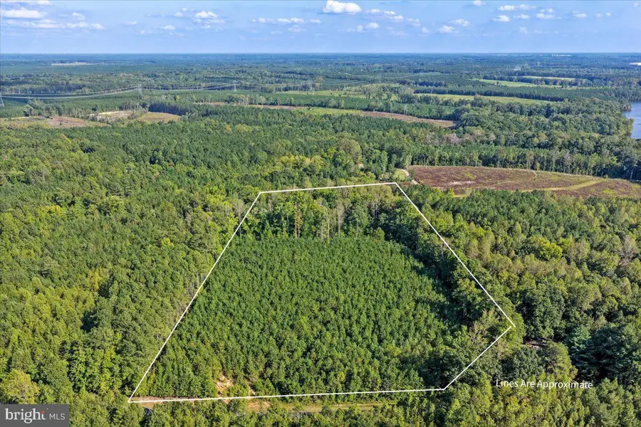 Lot 7 & 8 County Pond Rd, Freeman, VA 23856 - #2