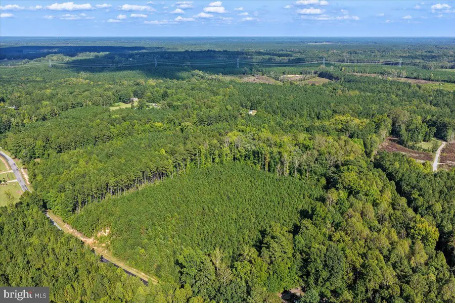 Lot 7 & 8 County Pond Rd, Freeman, VA 23856 - #3