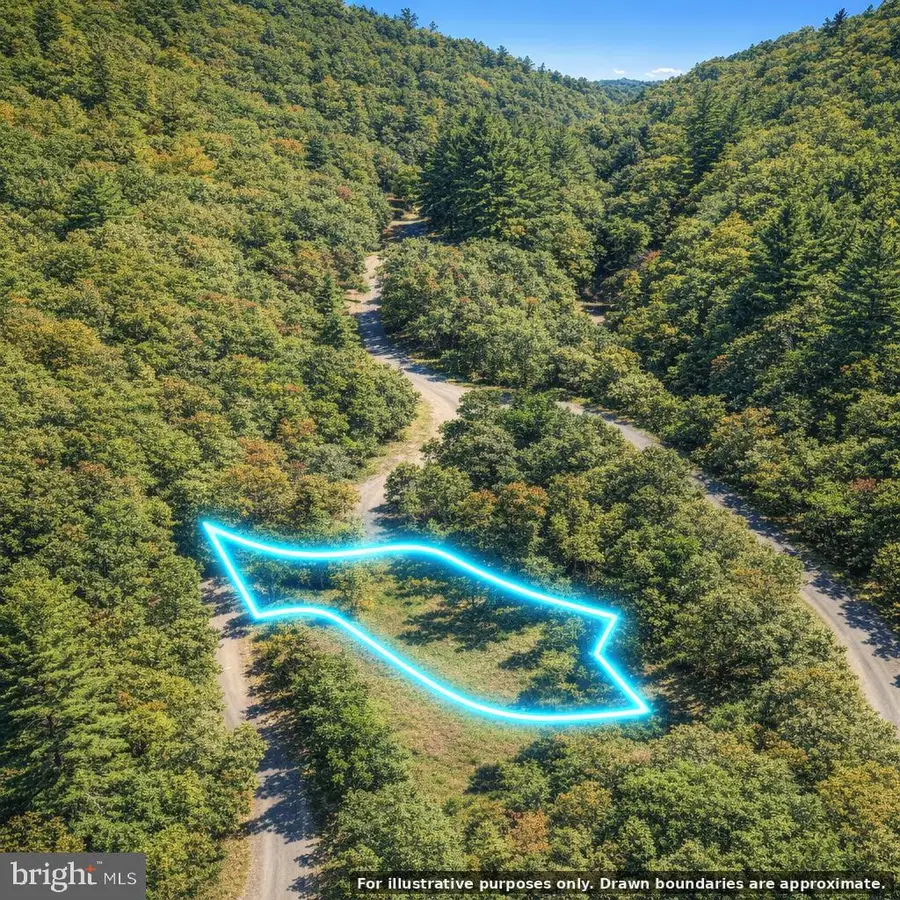 0 River Oaks Dr, Woodlawn, VA 24381 - #3