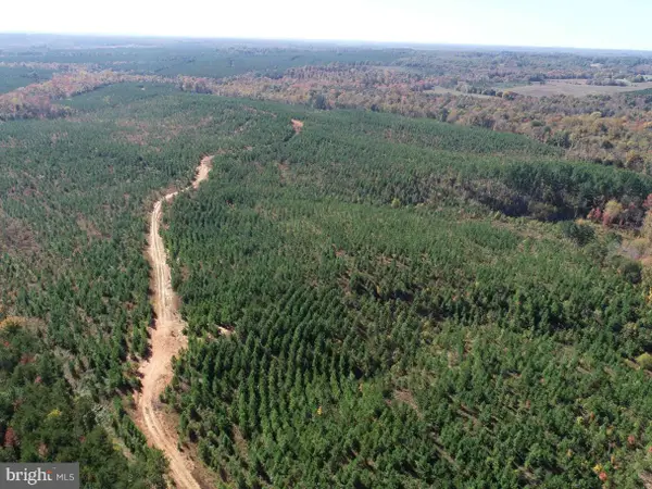 Woodfork Road (rt. 650) (tract Rogers-1), CHARLOTTE COURT HOUSE, VA 23923