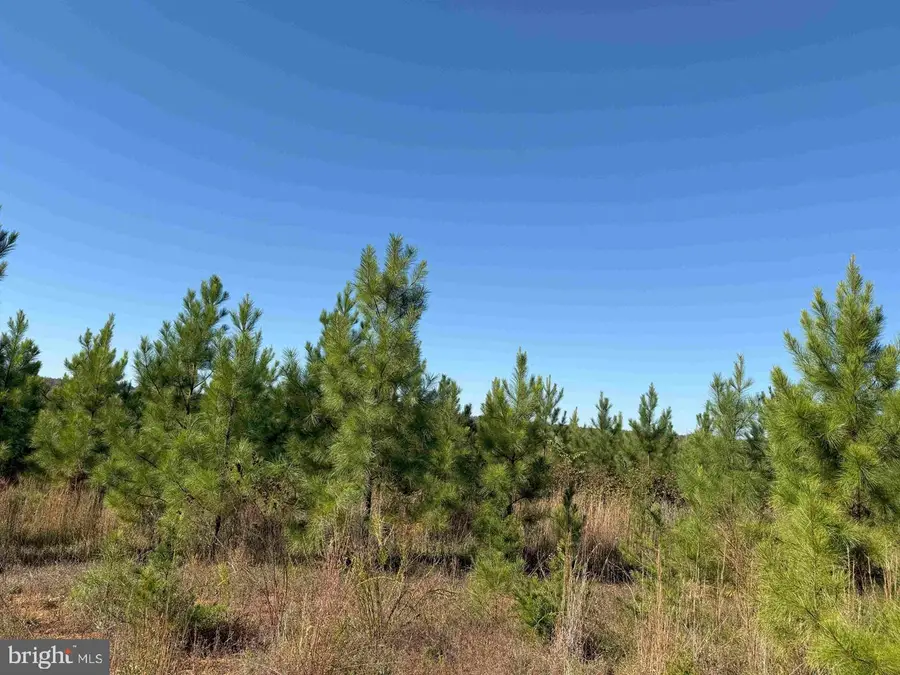 Woodfork Road (rt. 650) (tract Rogers-2), Charlotte Court House, VA 23923 - Image #2