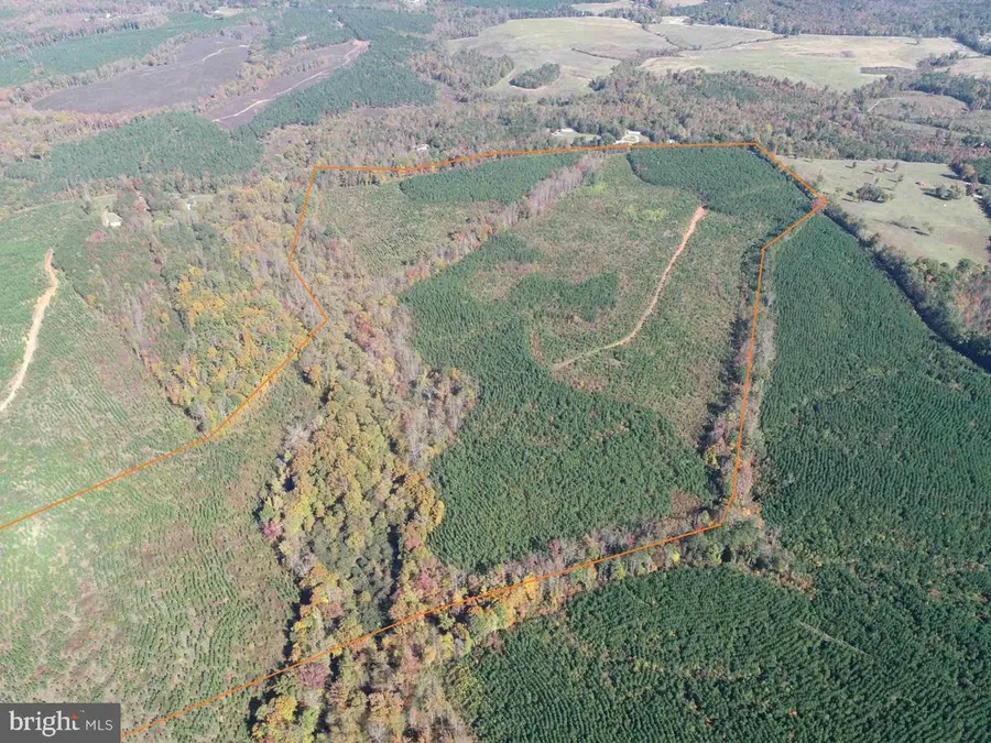 Woodfork Road (rt. 650) (tract Rogers-2), Charlotte Court House, VA 23923 - Image #3