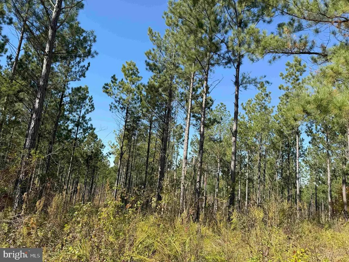 Woodfork Road (rt. 650) (tract Rogers-4), Charlotte Court House, VA 23923 - Image #1